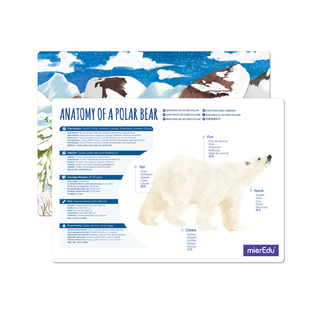 mierEdu Adjustable ECO 3D Puzzles - Arctic Animals