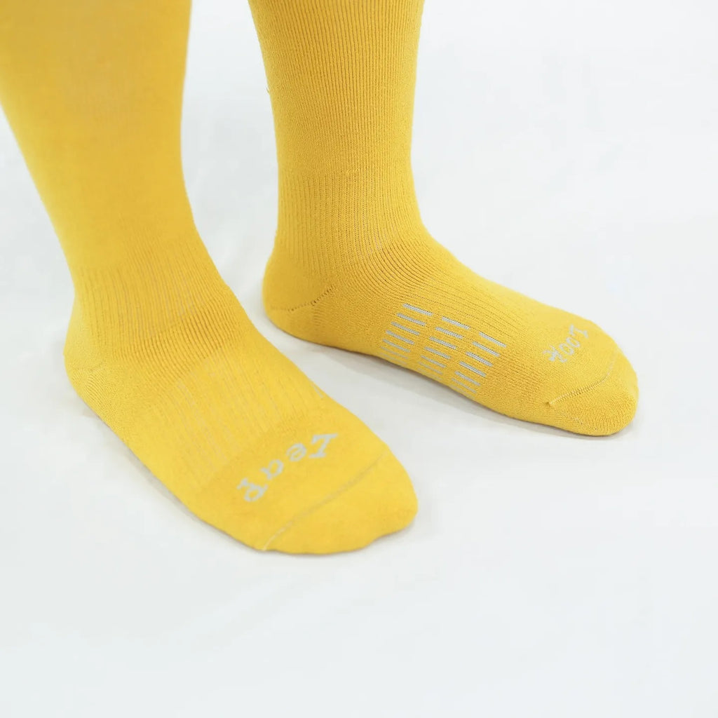 Paire Snow Sports Socks