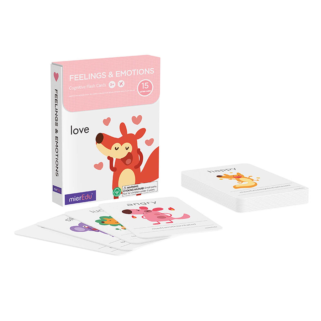 mierEdu Cognitive Learning Flash Cards