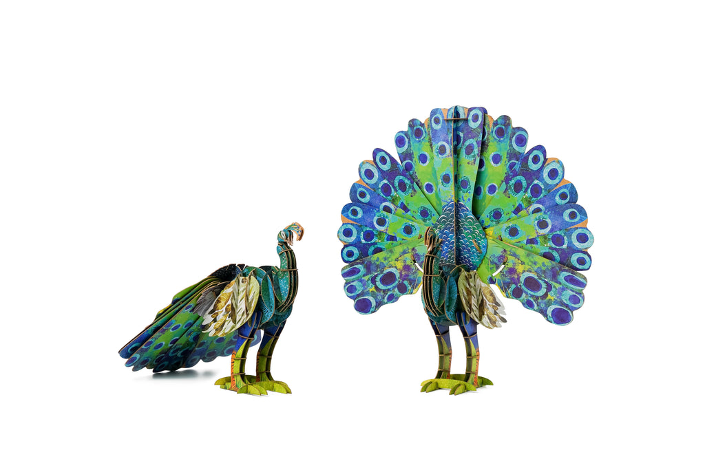 mierEdu ECO 3D Puzzles - Peacock