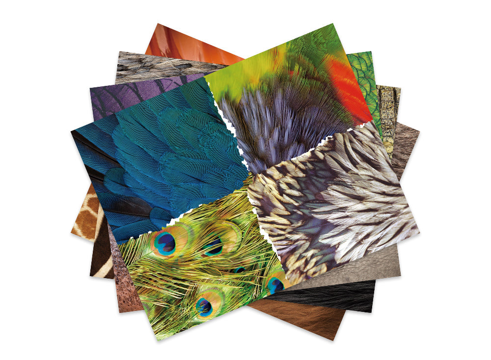 mierEdu DIY Paper Collage Sets