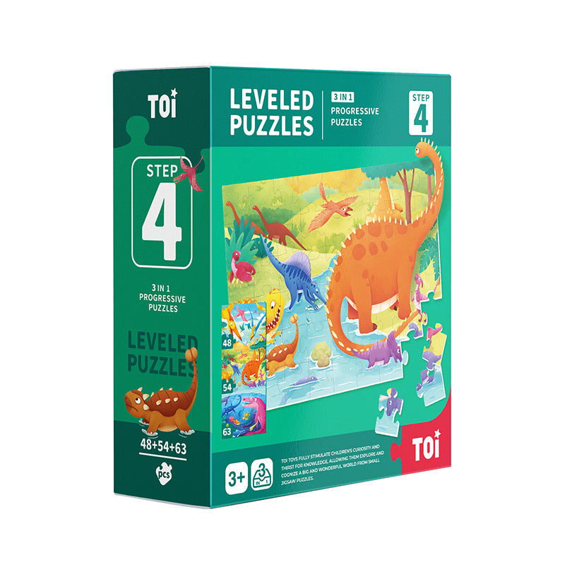 TOI Level Puzzles Series