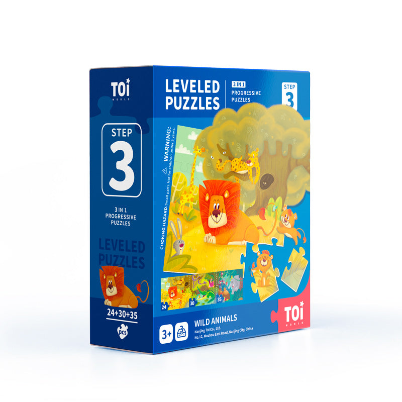 TOI Level Puzzles Series